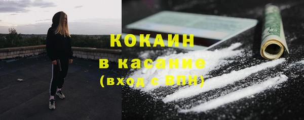 сатива Горно-Алтайск