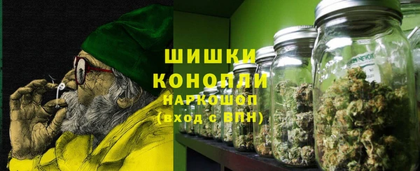 сатива Горно-Алтайск