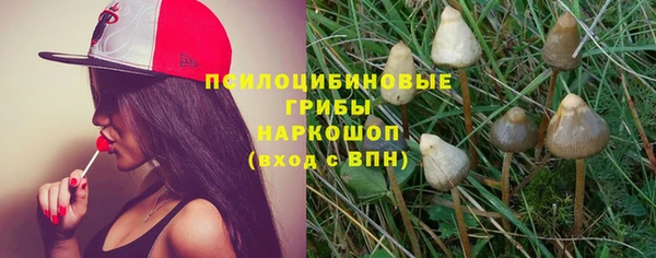 сатива Горно-Алтайск