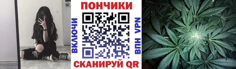 OMG как зайти  продажа наркотиков  Горняк  Бошки марихуана Amnesia 